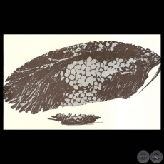 LA SANGRE EN LA MADERA, 1971 - Xilograbado de EDITH JIMÉNEZ